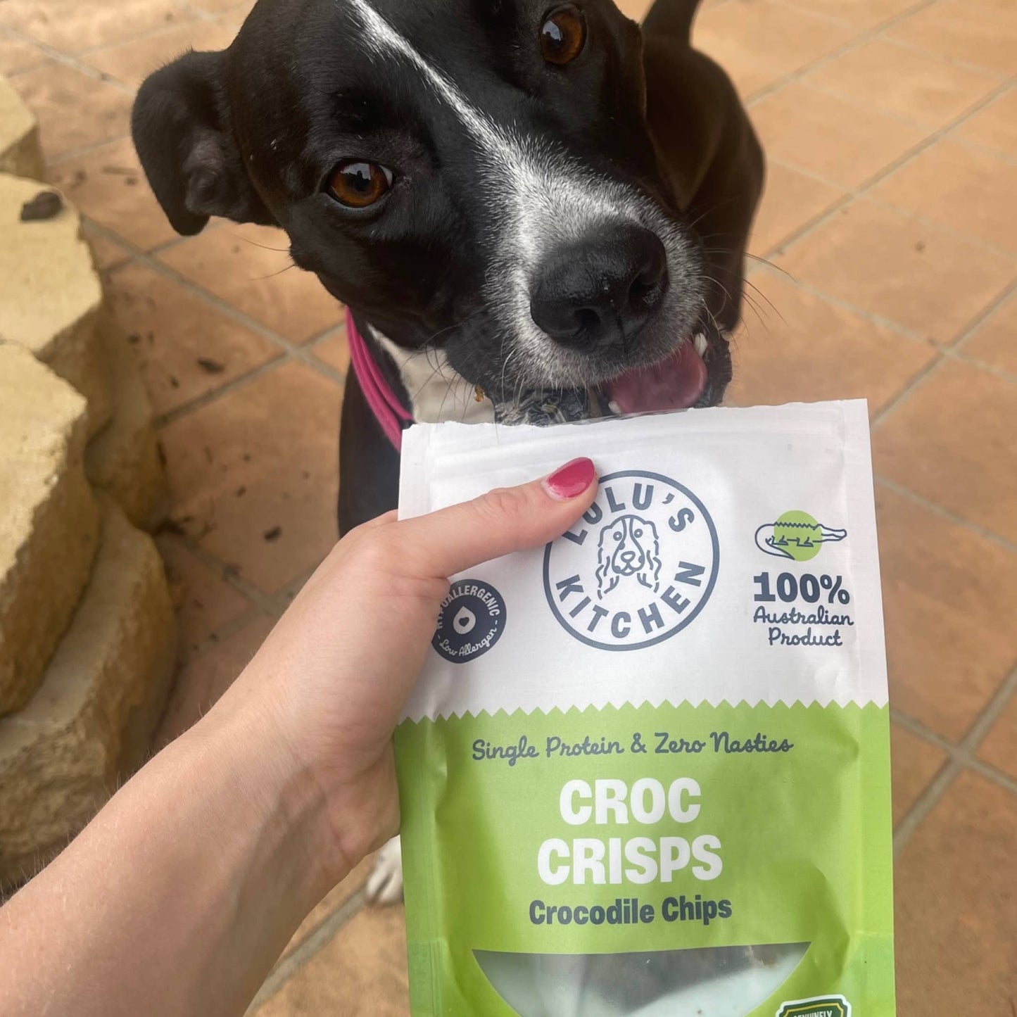 Croc Crisps - Krokodillenchips