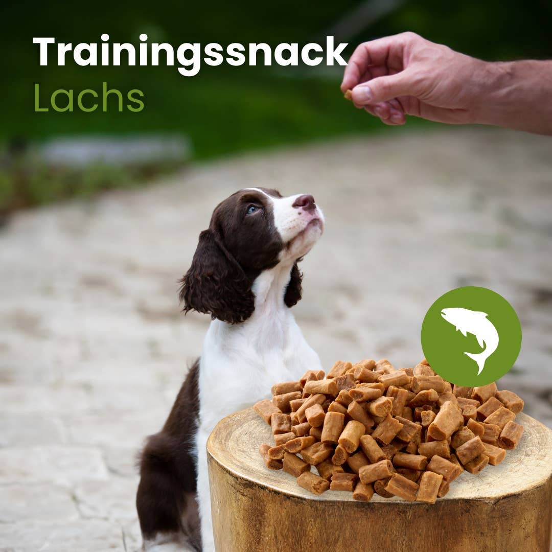 Trainers - Zalm