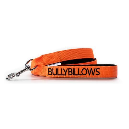 Bully Billows - Nylon snap hook leiband