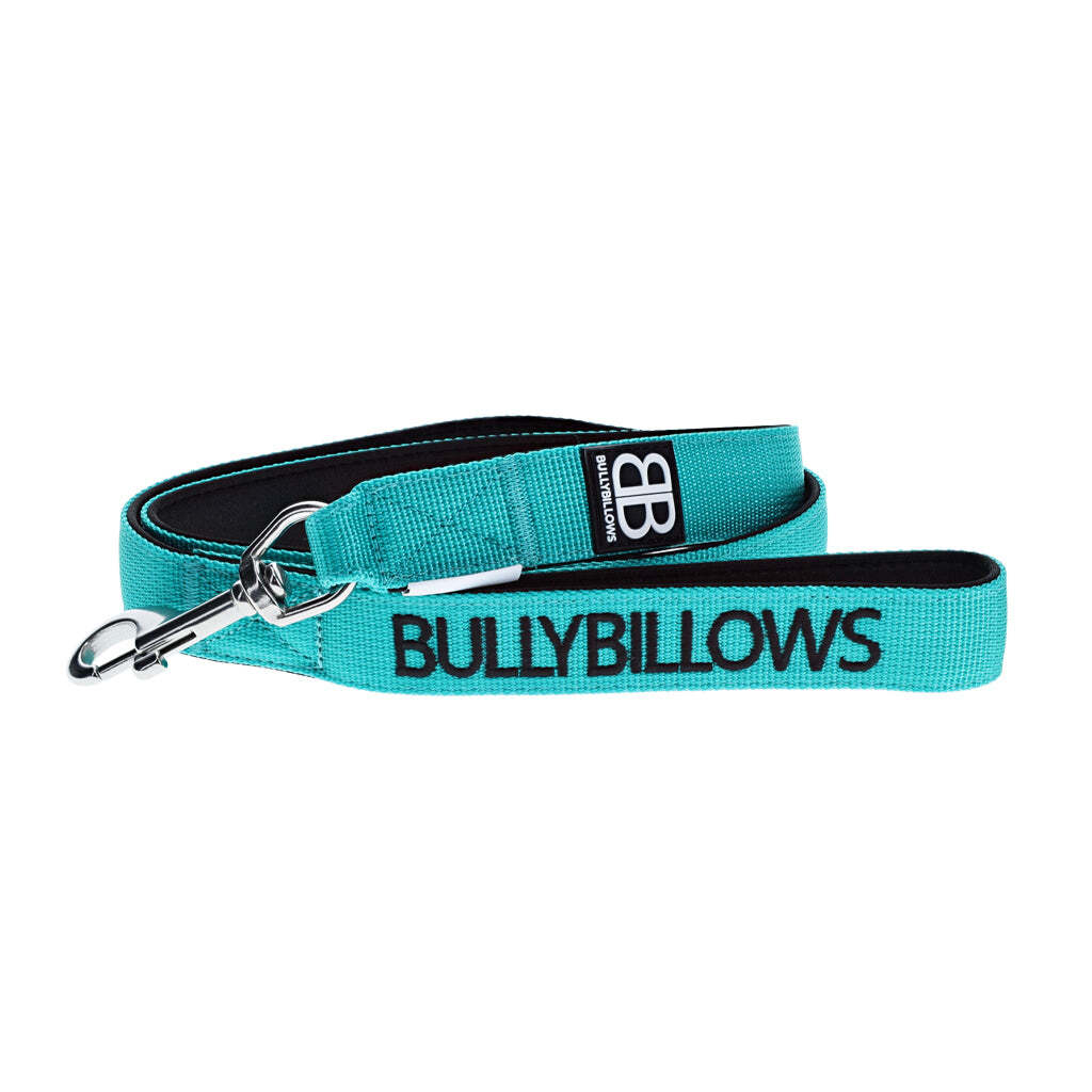 Bully Billows - Nylon snap hook leiband