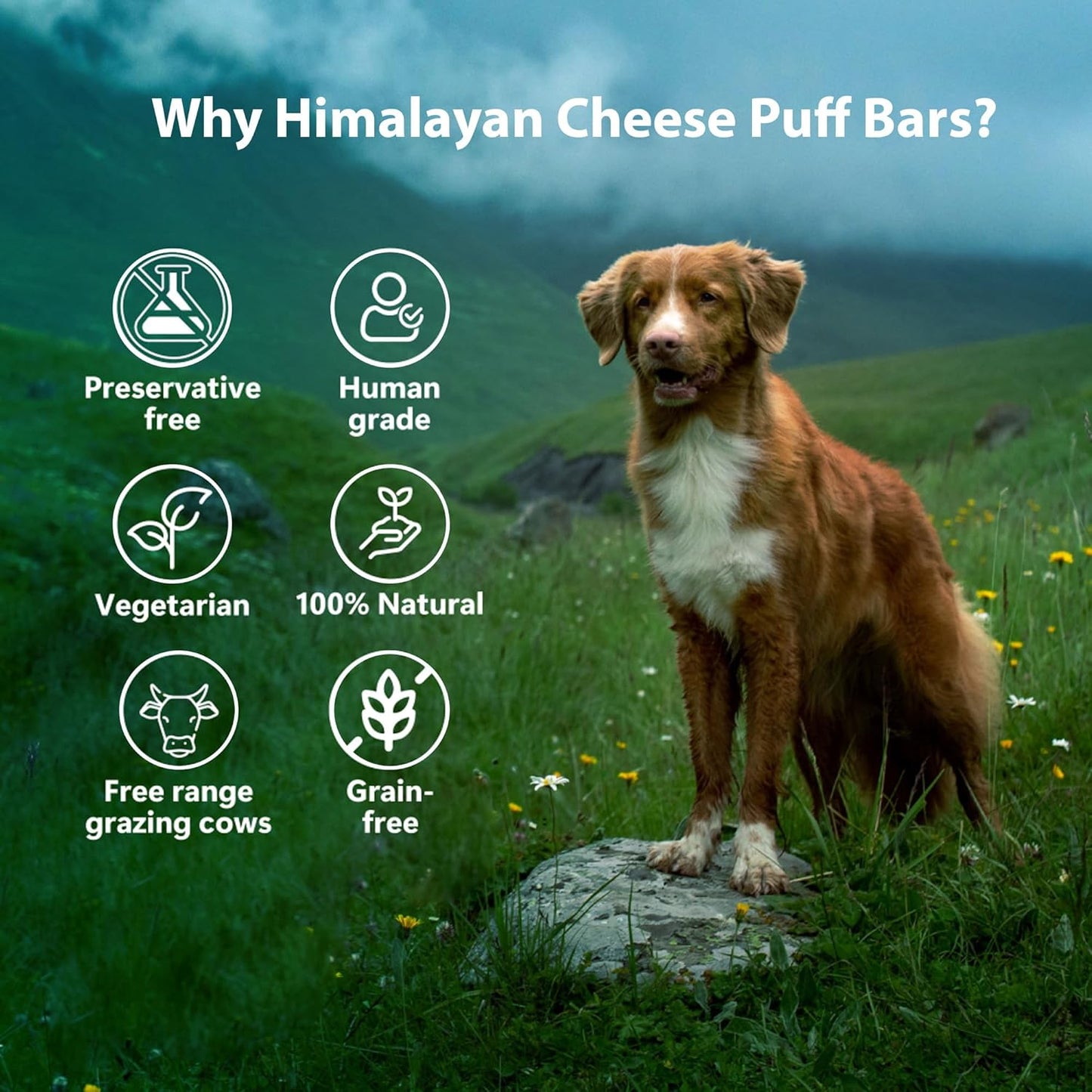 Pawfect Chew Puff Bars