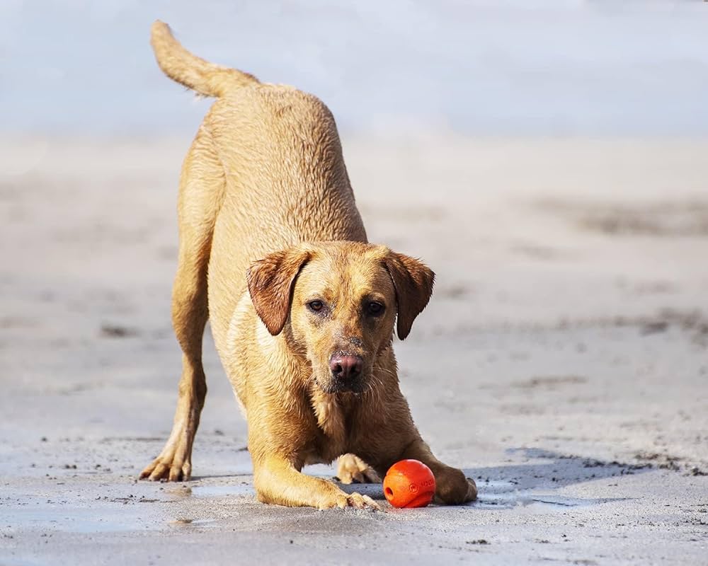 Chuckit! Fetch Medley Gen 3