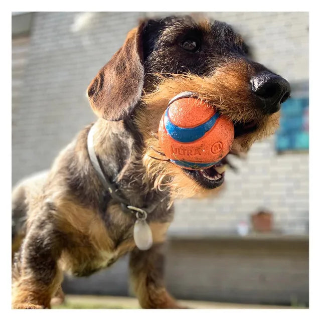 Chuckit! Ultra Ball