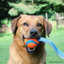 Chuckit! Ultra Tug