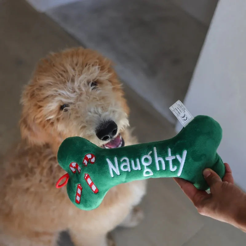 Naughty & Nice Bone
