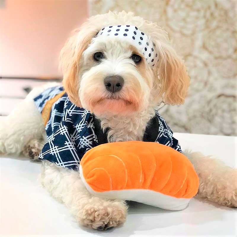 Nomnomz Sushi