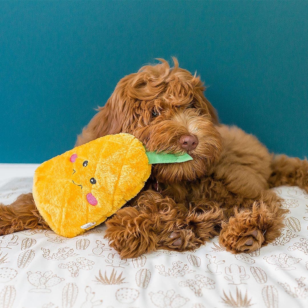 Nomnomz Pineapple
