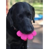 Sodapup Pawprint Durable Nylon Chew Toy