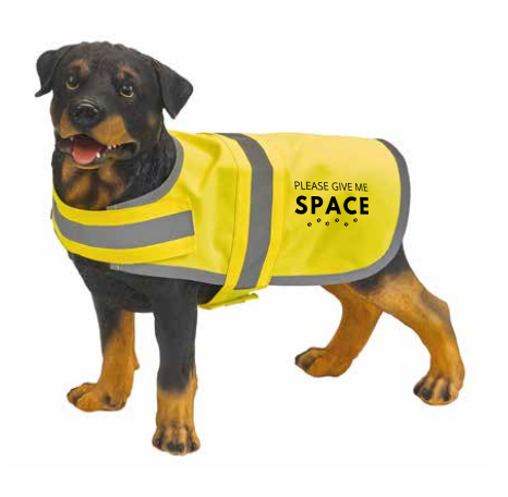 Fluovest Voor Honden- Please Give Me Space