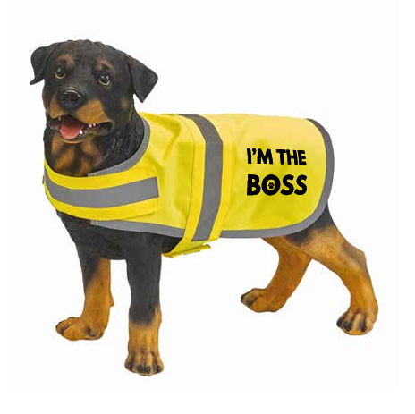 Fluovest Voor Honden- I'm The Boss