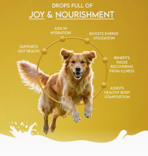 Pawfect Kamelenmelk - Papaya & Banaan