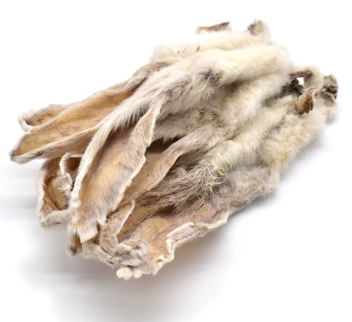 Konijnenoren Met Vacht