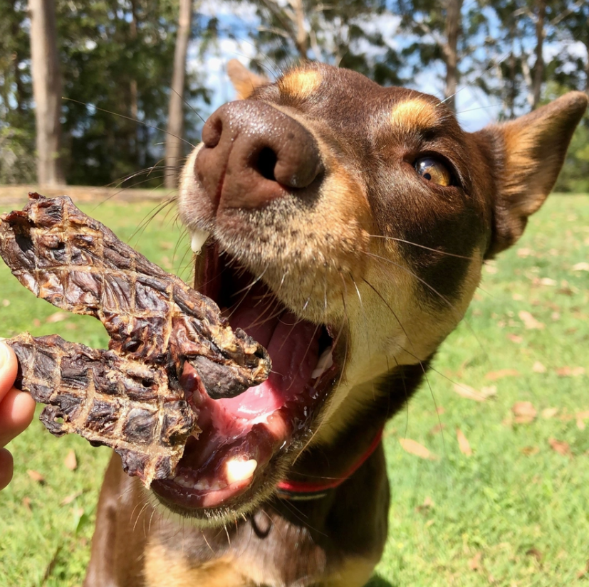 Kangoeroe Jerky - PRE ORDER