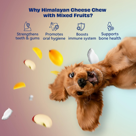 Pawfect Chew Bar - Fruit mix