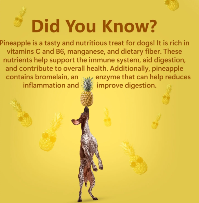 Pawfect Natures Munch - Ananas