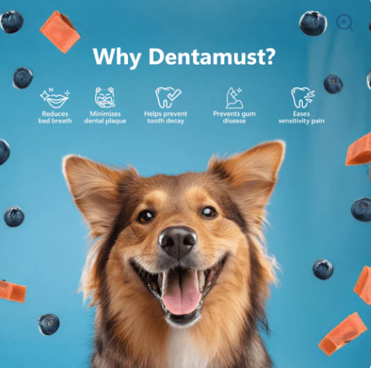 Pawfect Dentamust Bars - Blauwe Bessen