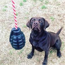 Sodapup K9 Magnum Grenade Chew & Reward Toy