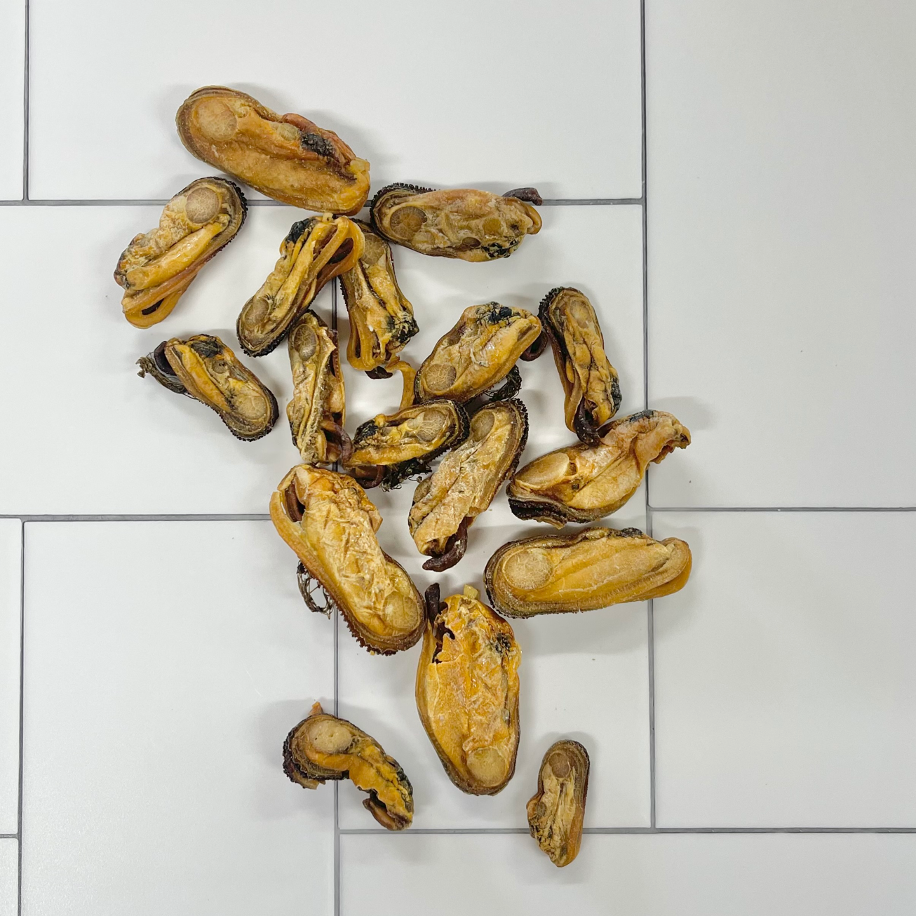 Gettn' Lippy Wit It - Groenlip Mossels