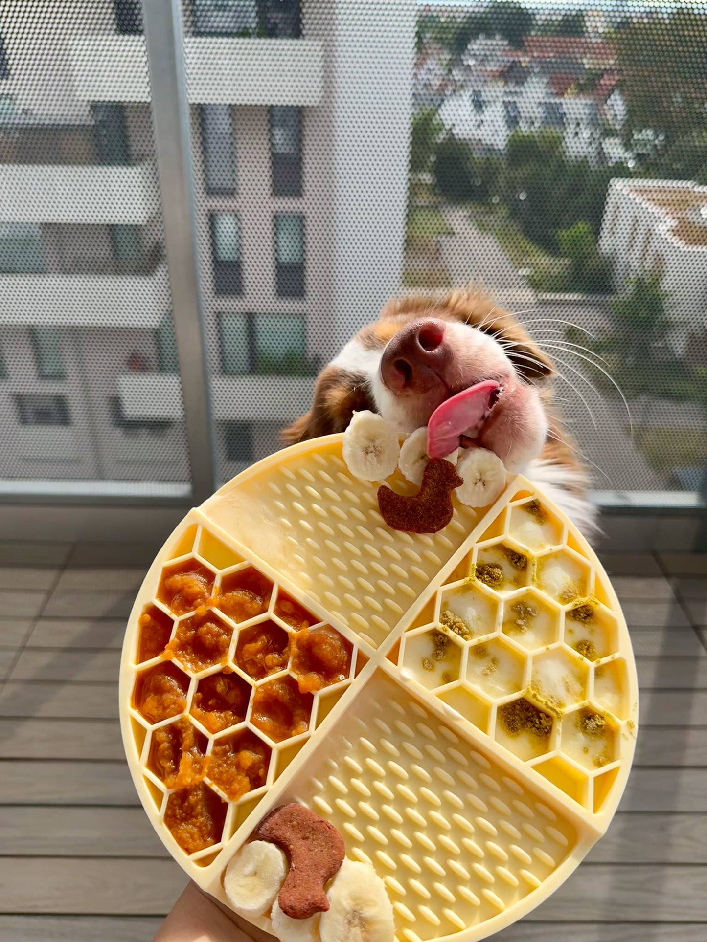 Likmat Honey