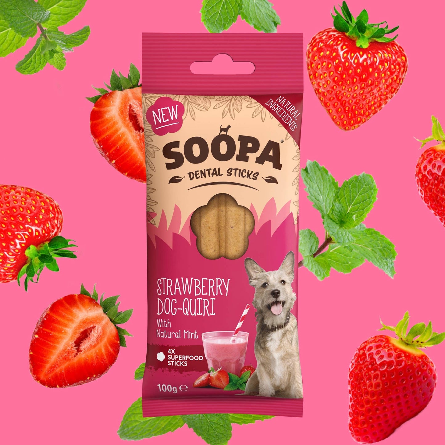 Soopa Dental Sticks - Dog-Quiri