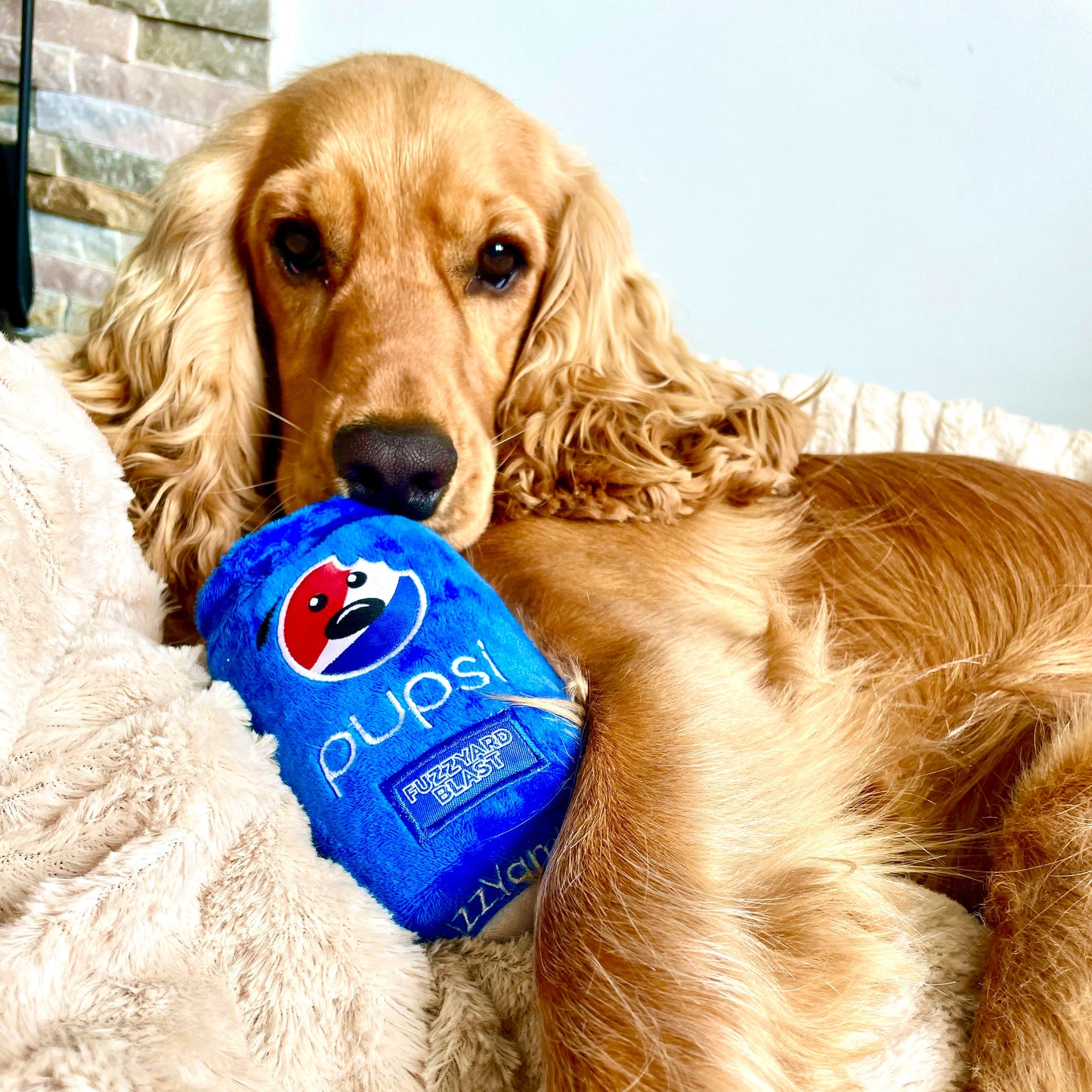 Fuzzyard Pupsi