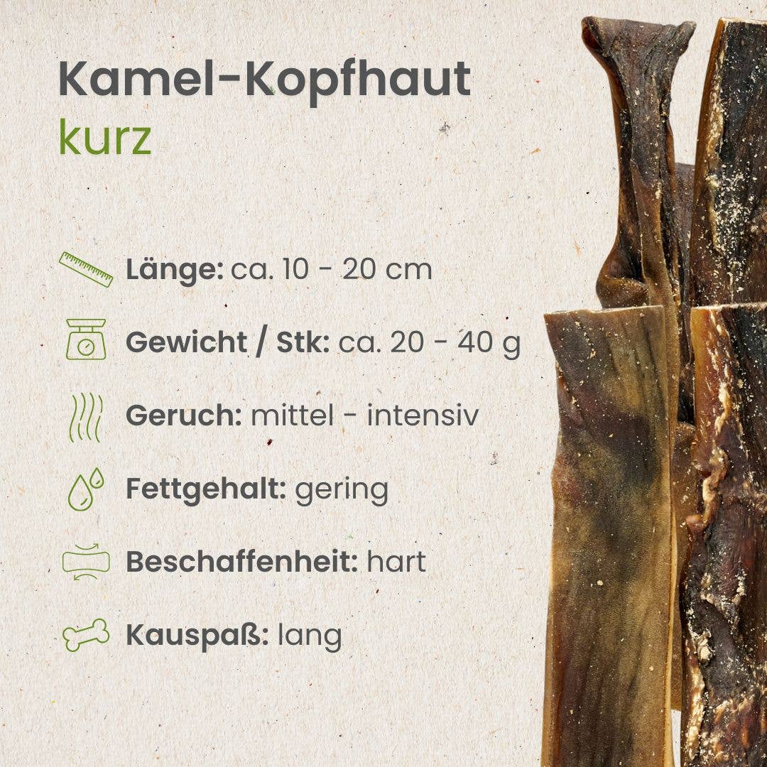 Kamelenkophuid