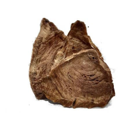 Tonijnfilet