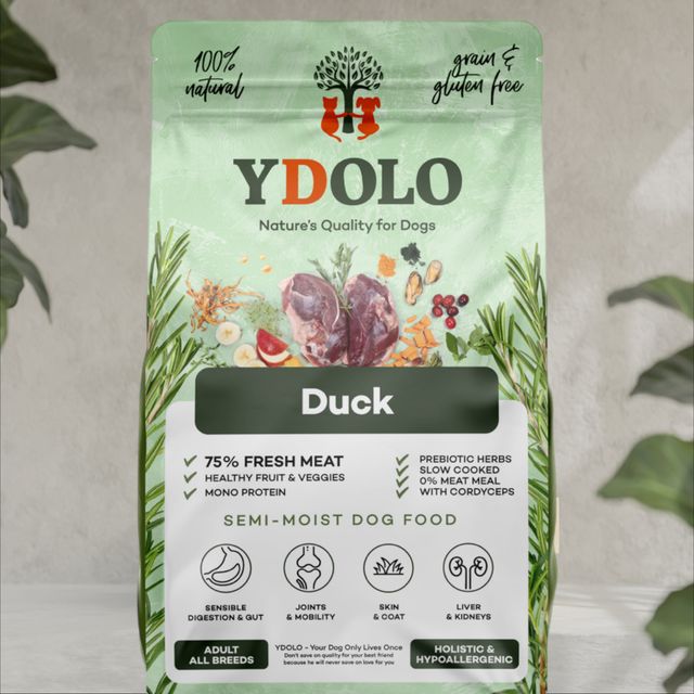 Ydolo - Duck