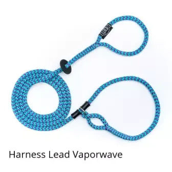 Harness Lead