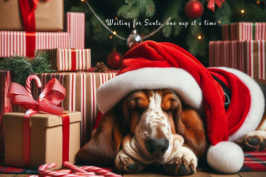 Kerstkaart - Basset Hound