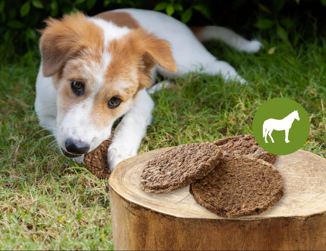 Paardenburgers