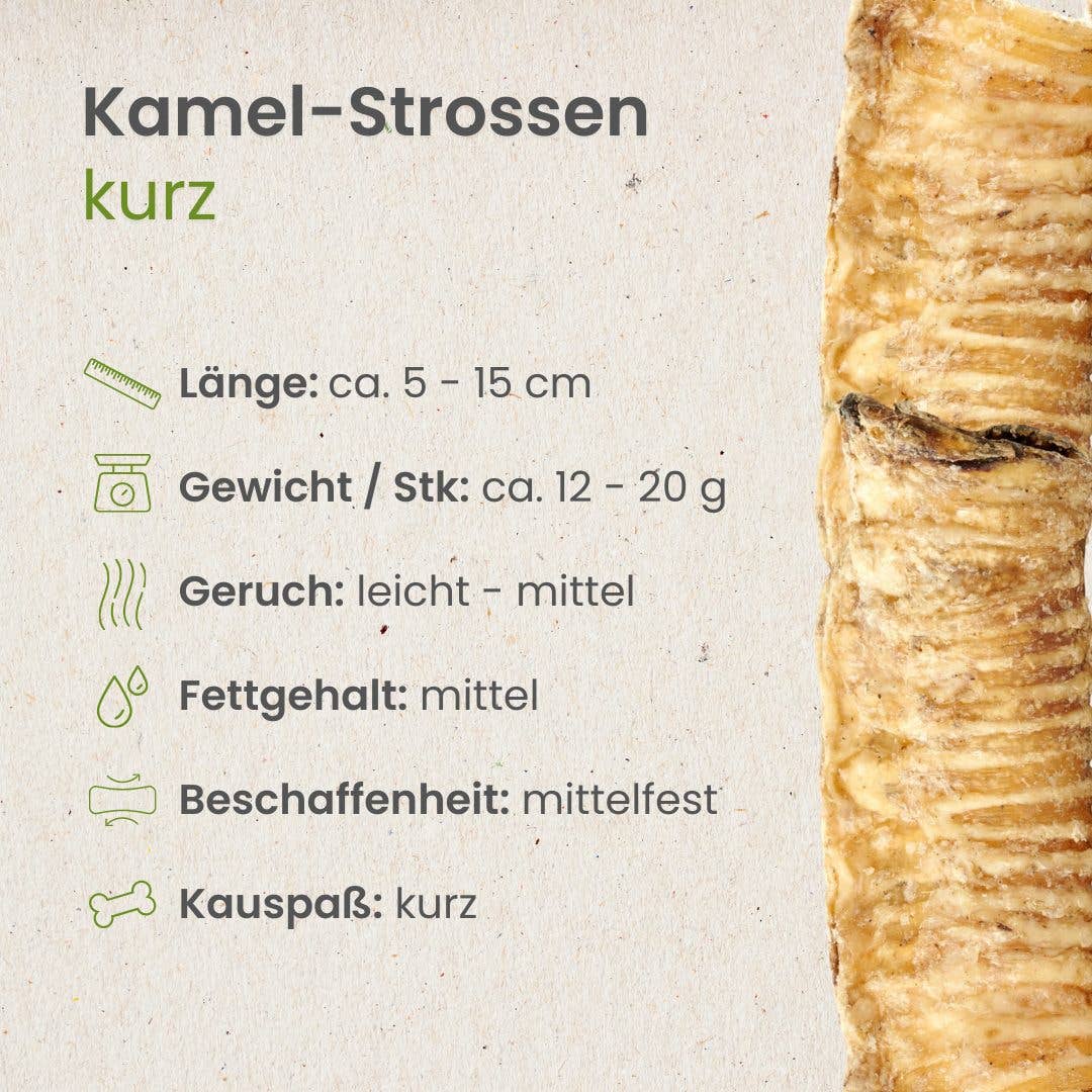 Kamelen luchtpijp