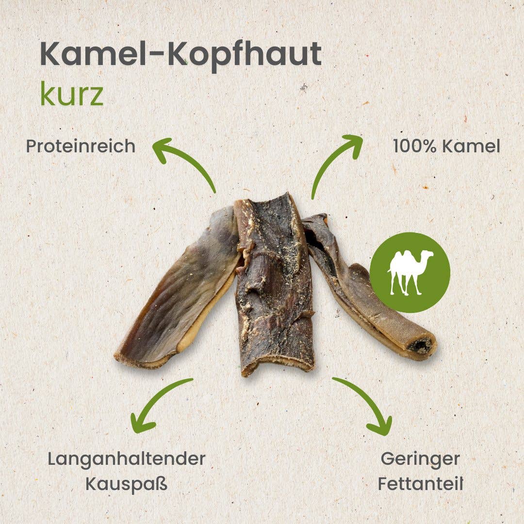 Kamelenkophuid