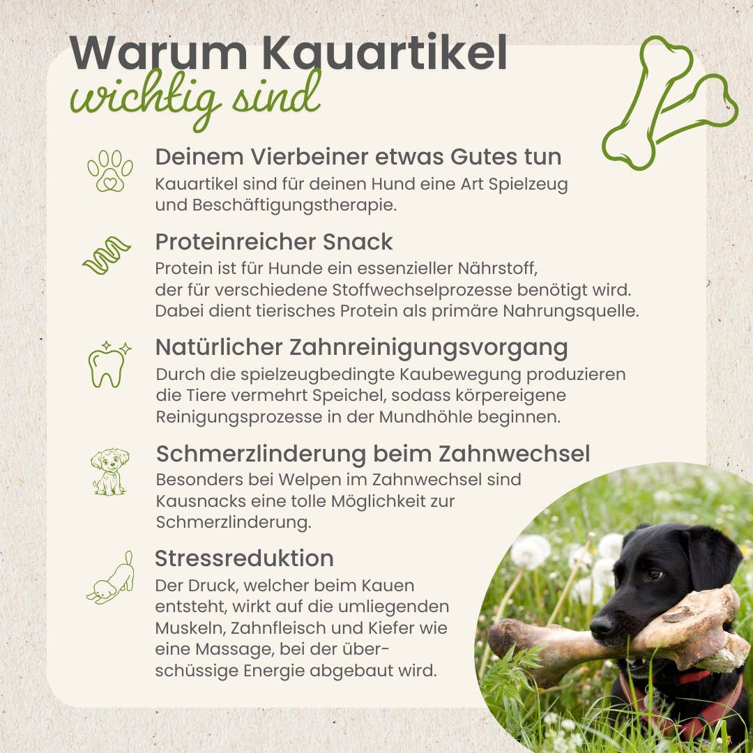 Kamelenkophuid