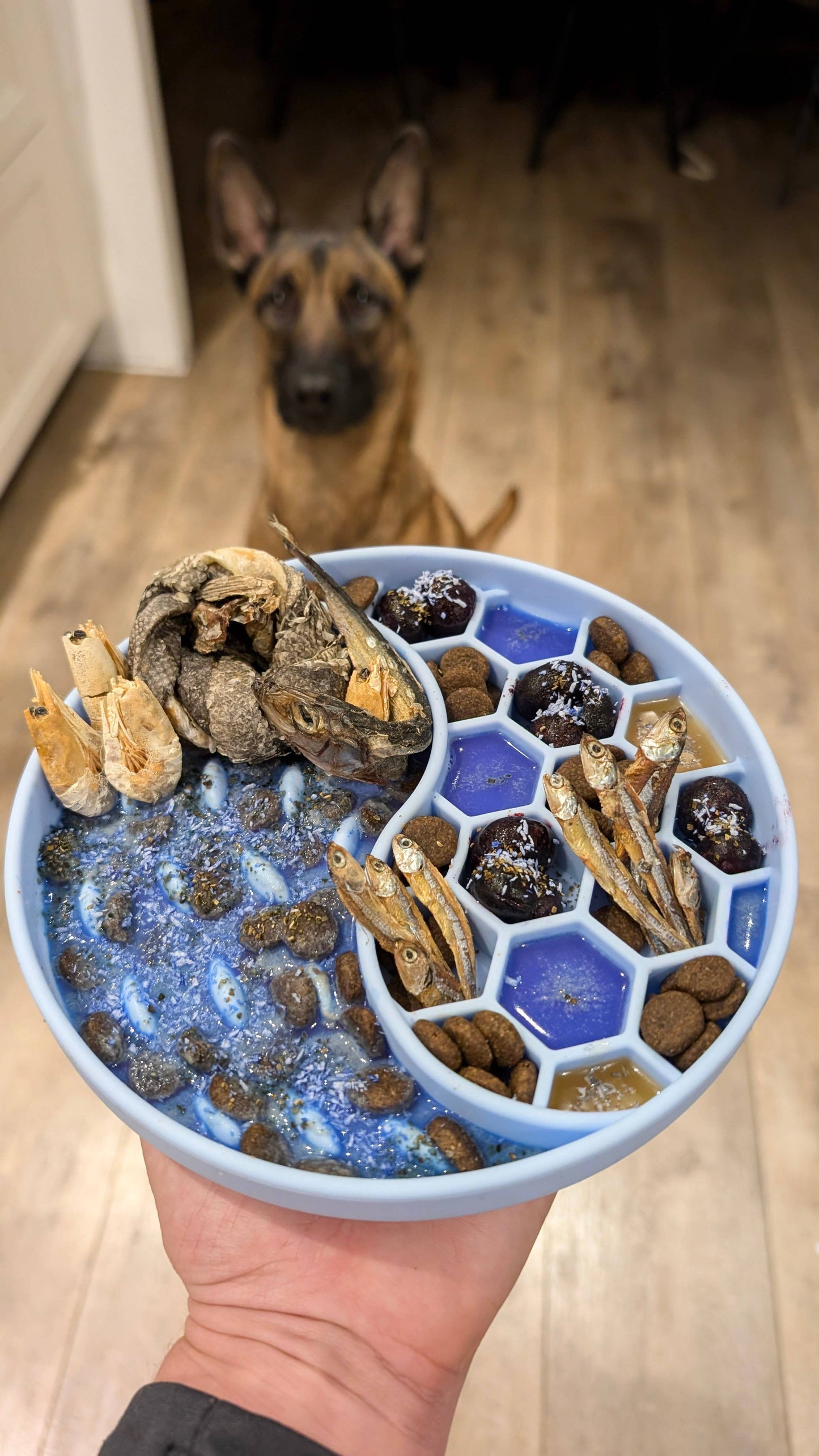 Mermaid Dust - Meal Topper