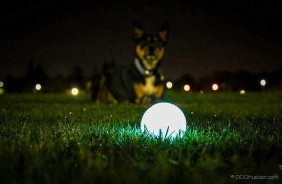 Chuckit! Max Glow In The Dark Ball