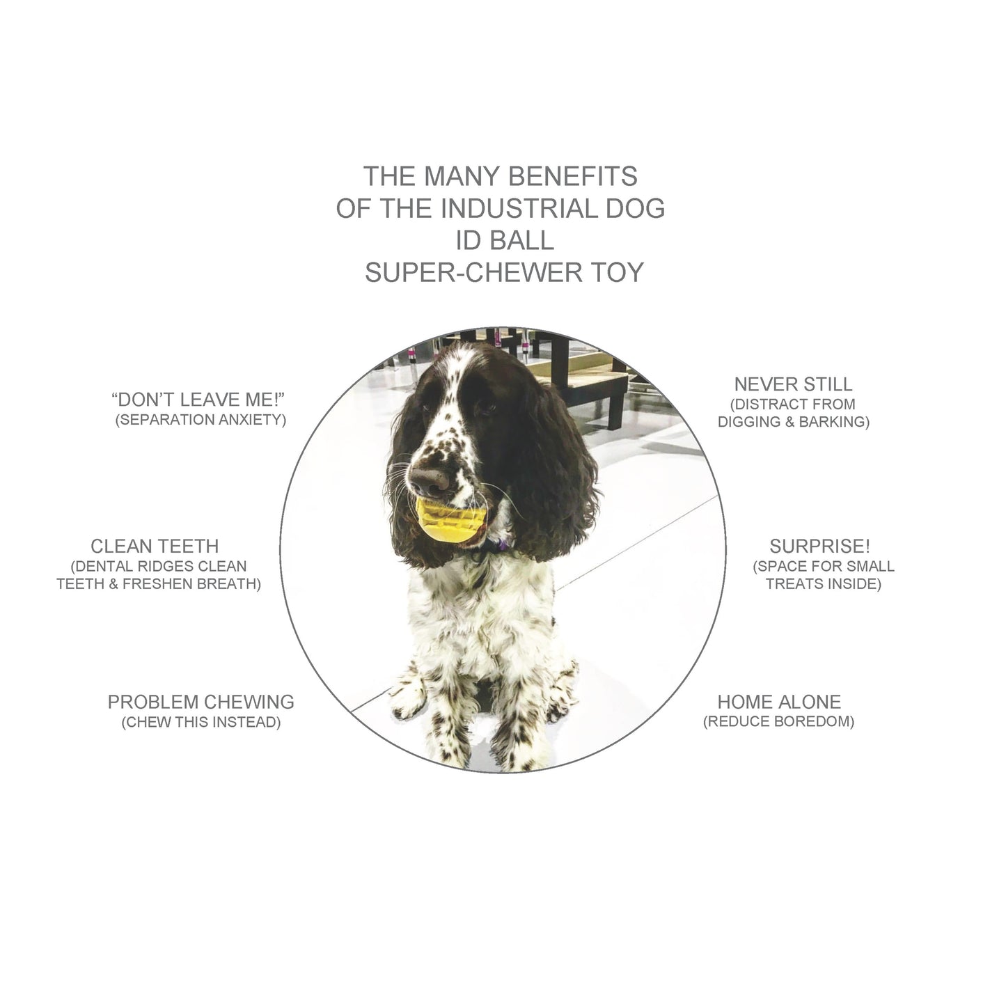 ID Ball Large - Chew & Retrieving Toy