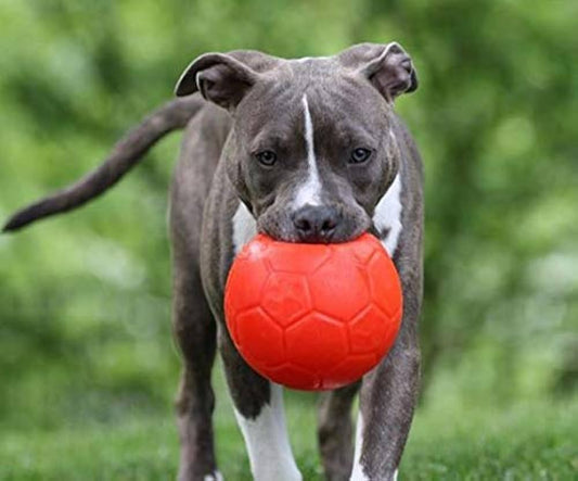 Jolly Soccer Ball