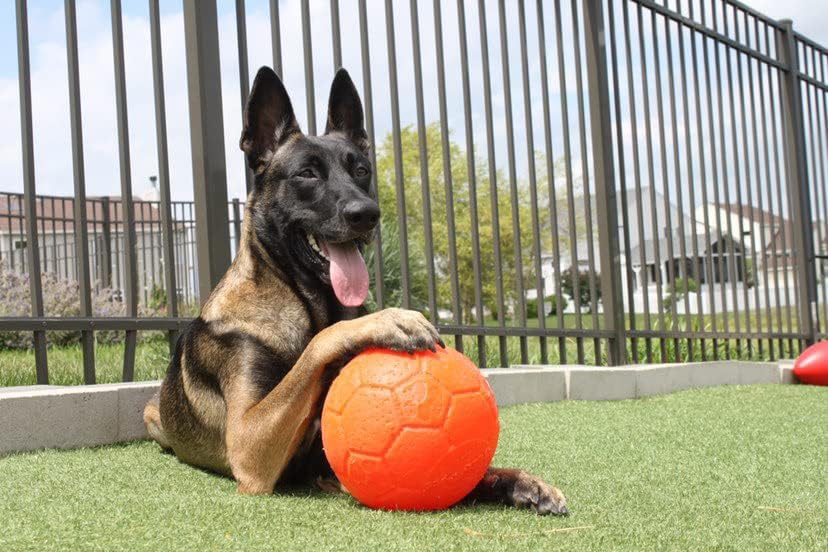 Jolly Soccer Ball