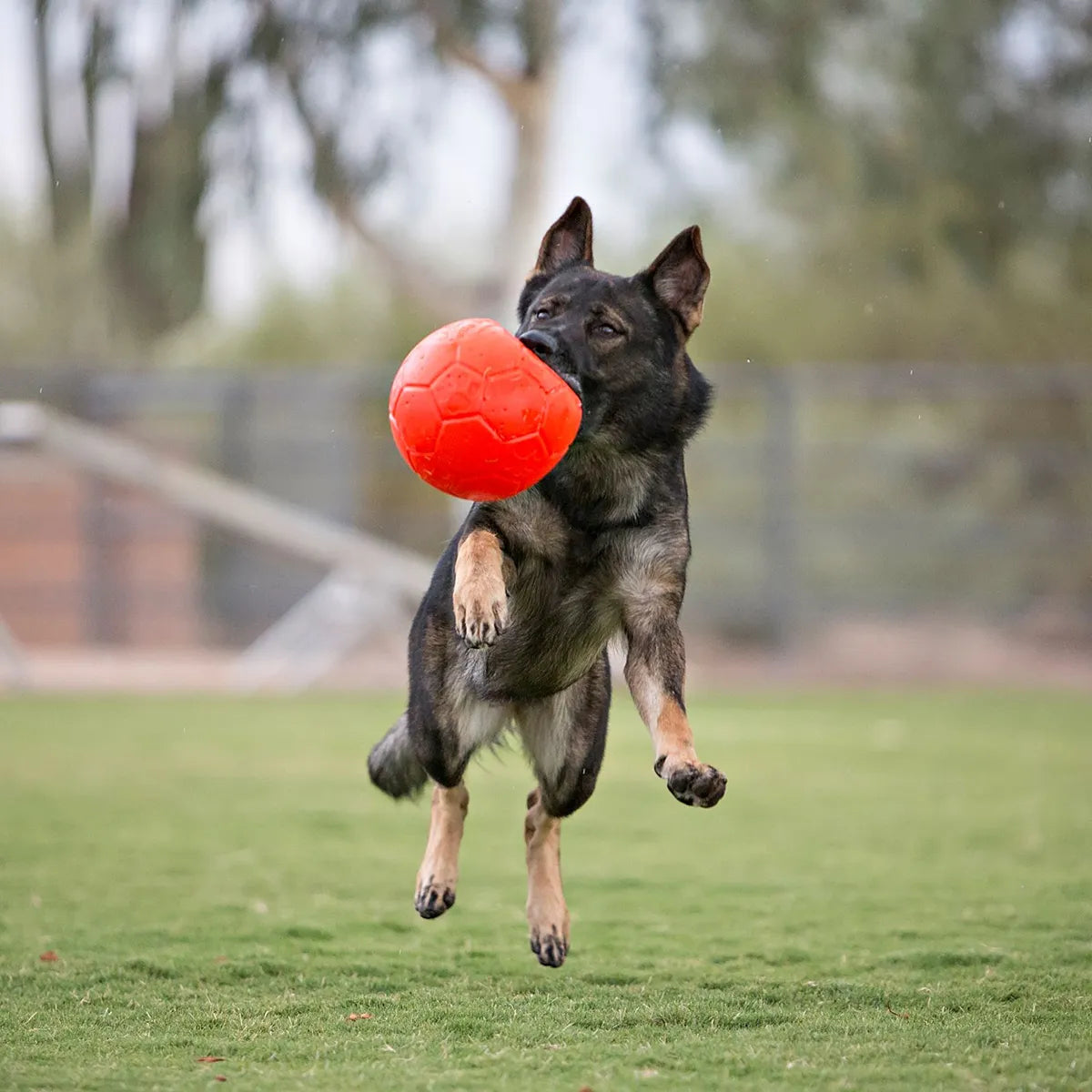 Jolly Soccer Ball