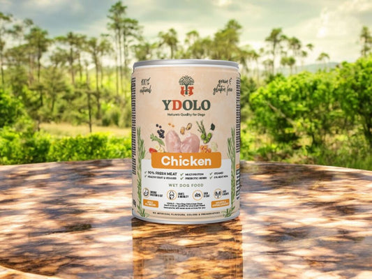 Ydolo Natvoer - Chicken