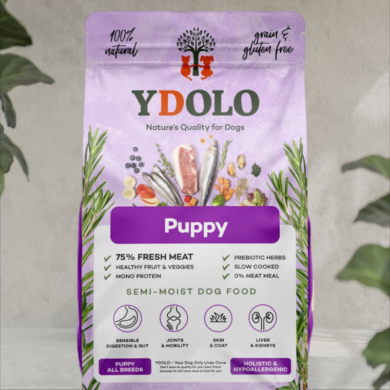 Ydolo - Puppy