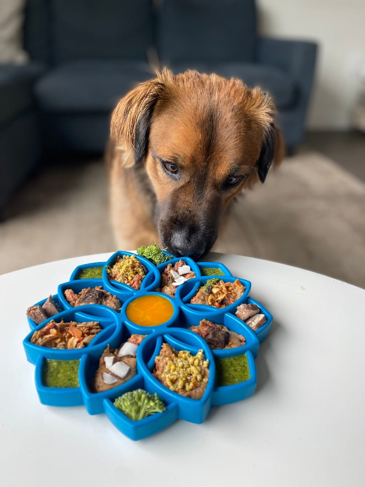 Sodapup Mandala Enrichment Tray