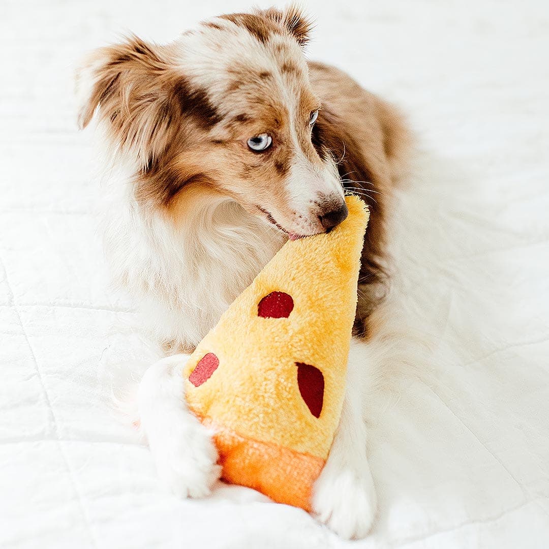 Nomnomz Pizza Slice