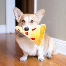 Nomnomz Pizza Slice