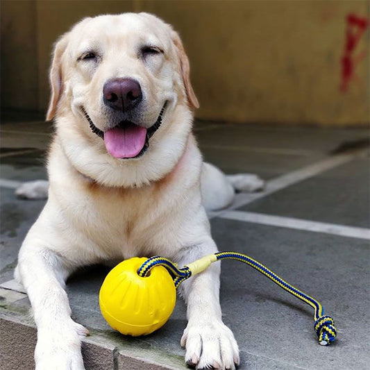 Swing 'N Fling Durafoam Fetch Ball