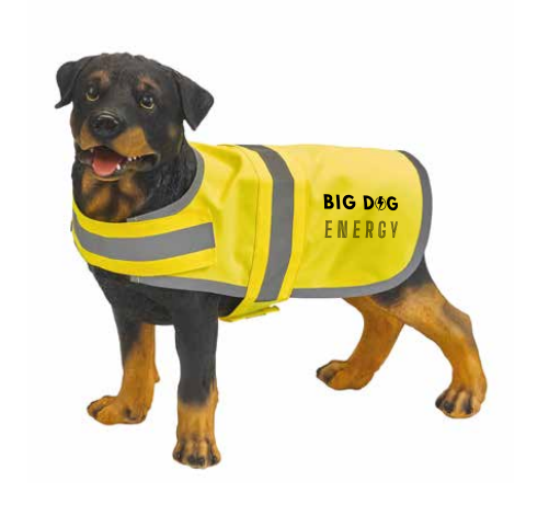 Fluovest Voor Honden- Big Dog Energy