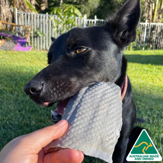 Sumthn' Fishee - Haaienhuid