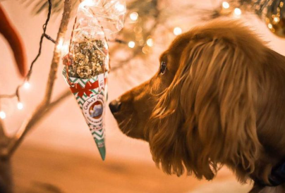 Woofmas Balls - Rund