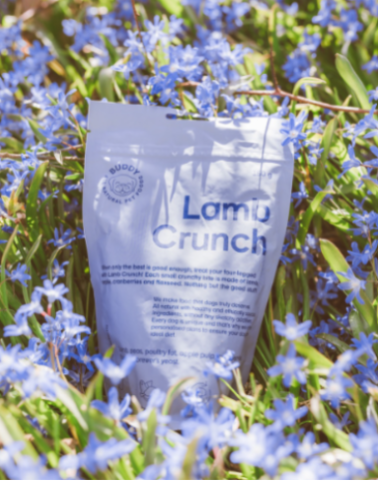 Buddy Crunchy Snack - Lam & Cranberry